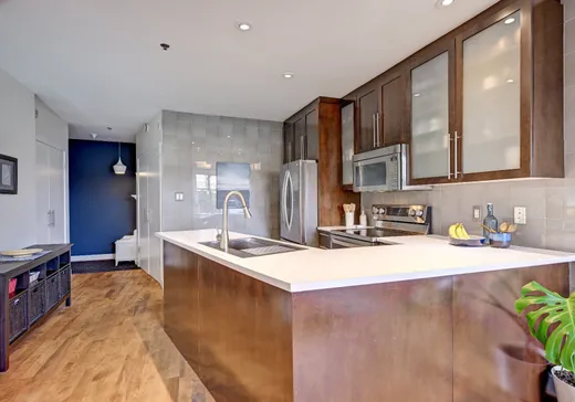 Condo for sale - 2150 Boul. Pie-IX, Montreal-Downtown, H1V 2E2