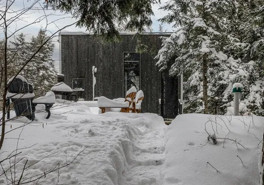 Maison à vendre - 83 Allée Verte, Eastman, J0E 1P0