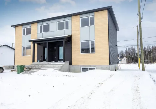 Maison à étages à vendre - 10 Rue Sylvio-Langlois, Sainte-Catherine-de-la-Jacques-Cartier, G3N3G8
