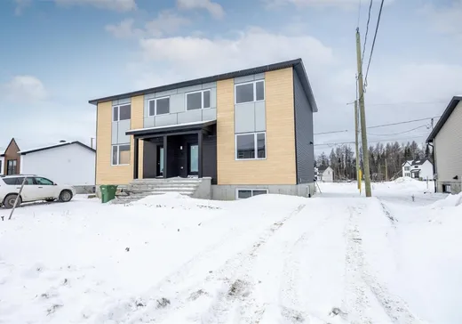 Maison à vendre - 10 Rue Sylvio-Langlois, Sainte-Catherine-de-la-Jacques-Cartier, G3N 3G8