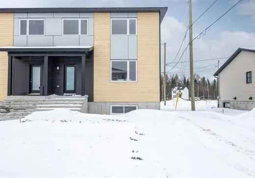 Maison à vendre - 10 Rue Sylvio-Langlois, Sainte-Catherine-de-la-Jacques-Cartier, G3N 3G8