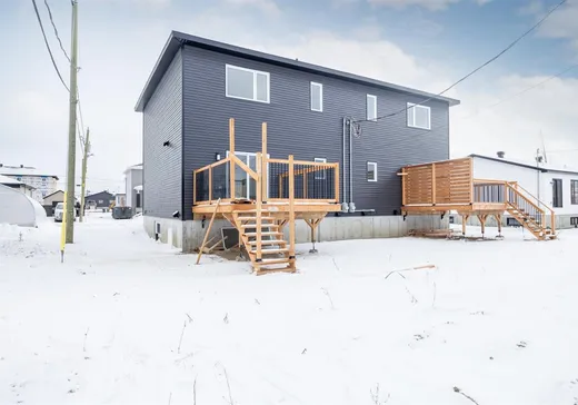 Maison à vendre - 10 Rue Sylvio-Langlois, Sainte-Catherine-de-la-Jacques-Cartier, G3N 3G8