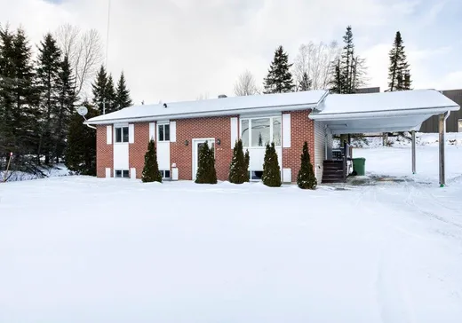 Chalet à vendre - 2739 Ch. de l'Aéroport, Thetford Mines, G6G5R7