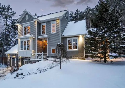Maison à étages à vendre - 19 Rue des Cardinaux, Orford, J1X0C2