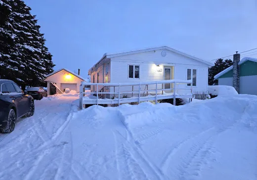 Maison à étages à vendre - 21 Rue Amiot, Saint-Pierre-de-Lamy, G0L4E0