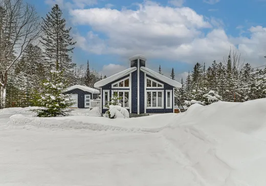 Maison à étages à vendre - 1630 Av. A.-Bertrand, St-Adolphe d'Howard, J0T2B0