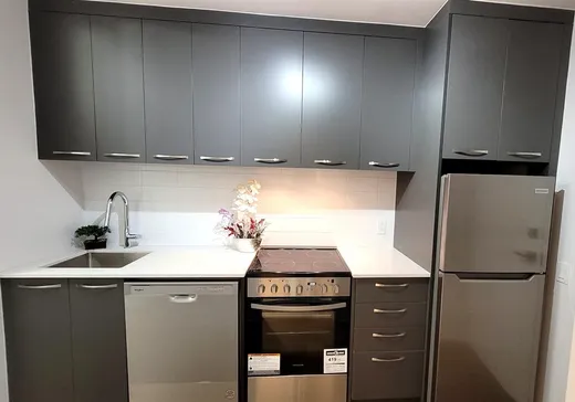 Condo for sale - 1485 Rue des Bassins, Montreal (Downtown), H3J0C2
