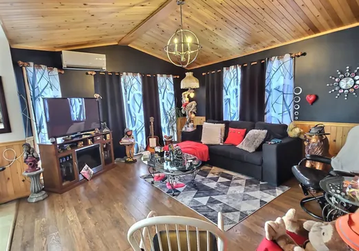 Maison à vendre - 221 Rue Tremblay, Saint-Léon-le-Grand, G0J 2W0
