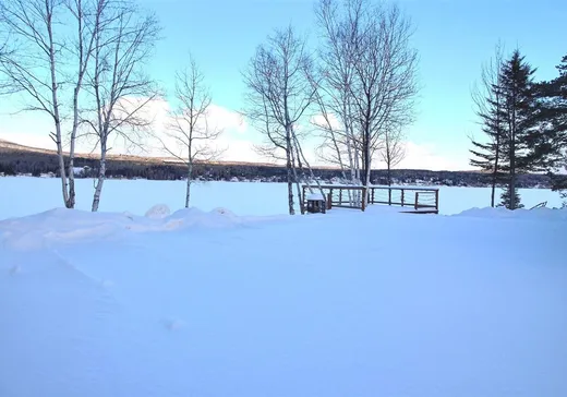 Maison à vendre - 1478 Rue Principale, Pohénégamook, G0L 1J0
