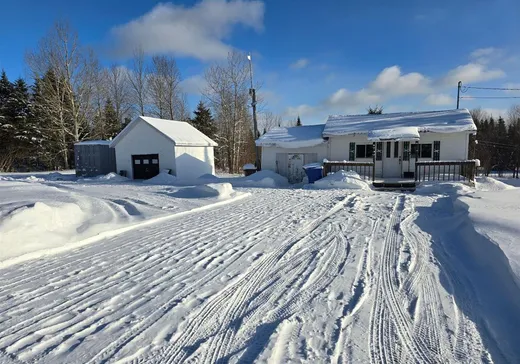 Chalet à vendre - 279 Rg St-Jean, Sainte-Apolline-de-Patton, G0R 2P0