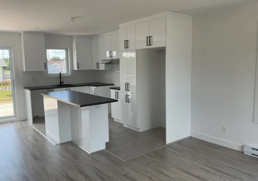 Maison à vendre - 118 Rue Siméon-Charland, St-Pierre-Les-Becquets, G0X 2Z0