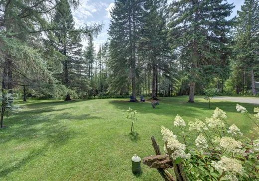 Maison à vendre - 1315 Mtée Kavanagh, Mont-Tremblant, J8E 2P3