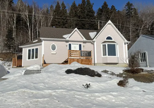 Maison à étages à vendre - 50 Rue Pierre-Bédard, La Malbaie, G5A1L2