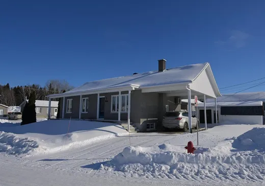 Chalet à vendre - 106 Rue Bergeron, Dolbeau-Mistassini, G8L5W7