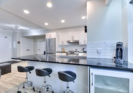 Condo à vendre - 3460 Rue Simpson, Montréal (Verdun), H3G 3J4