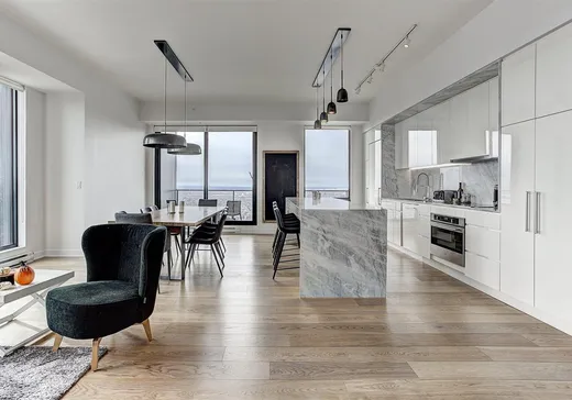 Condo à vendre - 1288 Av. des Canadiens-de-Montréal, Montréal (Centreville), H3B 3B3