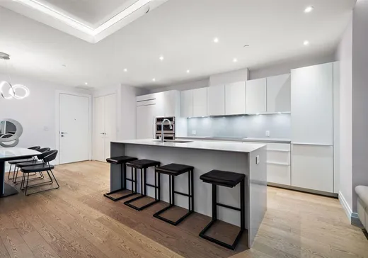 Condo for sale - 255 Rue Étienne-Lavoie, Laval (Sainte-Dorothee), H7X0E5