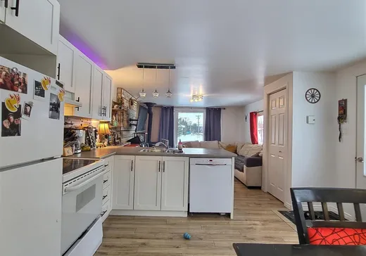 Maison à vendre - 1078 Route 349, St-Alexis-Des-Monts, J0K 1V0