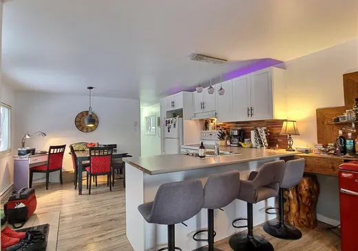 Maison à vendre - 1078 Route 349, St-Alexis-Des-Monts, J0K 1V0