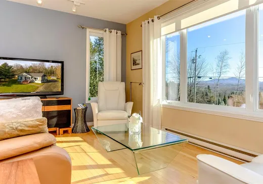 Maison à vendre - 240 Ch. Harvey, Sutton, J0E 2K0