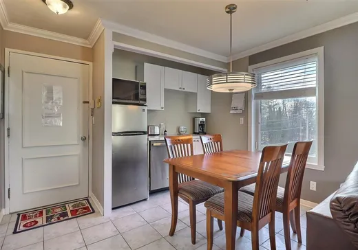 Condo à vendre - 261 Rue Merry S., Magog, J1X 3L2