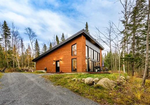 Maison à vendre - 73 Ch. du Lac-Bisby, St-Joseph-De-Coleraine, G0N 1B0