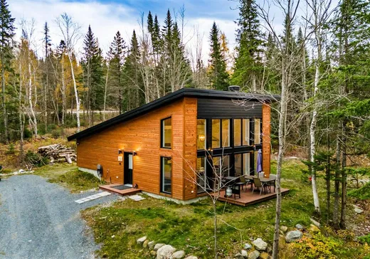 Maison à vendre - 73 Ch. du Lac-Bisby, St-Joseph-De-Coleraine, G0N 1B0