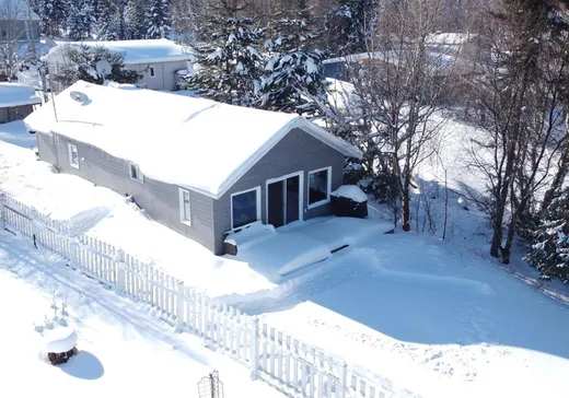 Chalet à vendre - 45 Rue Principale, Lac-Edouard, G0X3N0