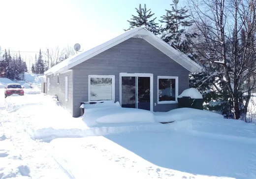 Chalet à vendre - 45 Rue Principale, Lac-Edouard, G0X 3N0