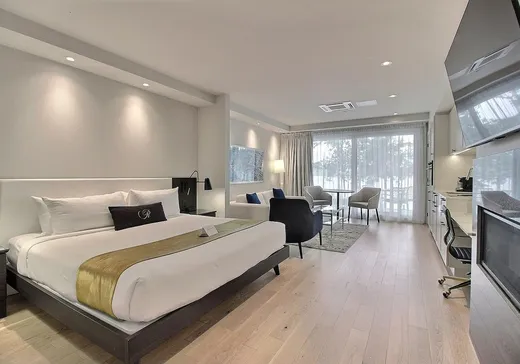 Condo à vendre - 700 Ch. Ripple Cove, Magog, J0B1C0