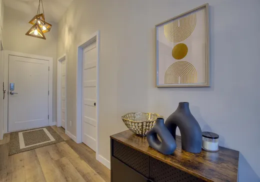Condo à vendre - 235 Rue du Cercle-des-Cantons, Bromont, J2L 0R4