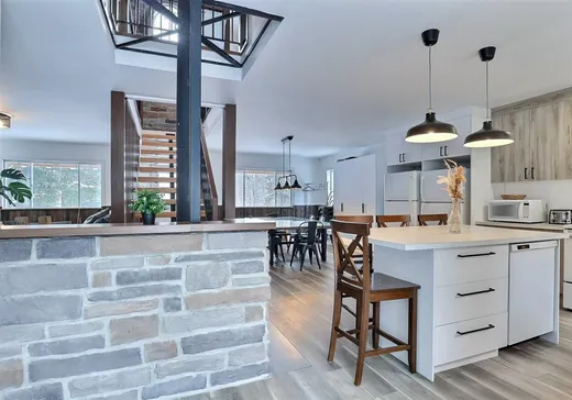 Maison à vendre - 62 Ch. Josée, Notre-Dame-Des-Boies, J0B 2E0