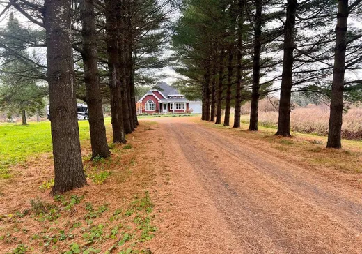 Hobby Farm for sale - 806 Ch. du Plateau, Saint-Félix-de-Kingsey, J0B 2T0