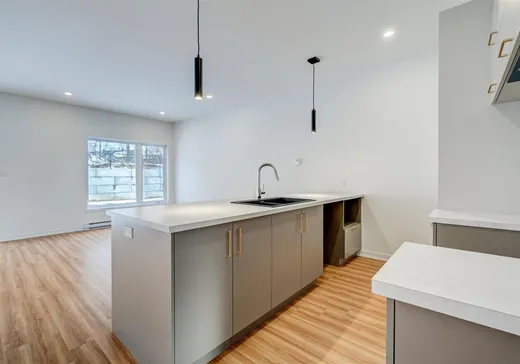 Maison à vendre - 8755 Rue de Chaumont, Massueville, J3R 0M8