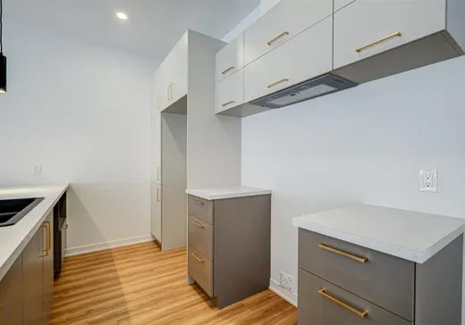 Maison à vendre - 8755 Rue de Chaumont, Massueville, J3R 0M8