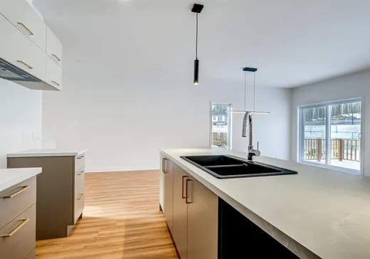 Maison à vendre - 8755 Rue de Chaumont, Massueville, J3R 0M8