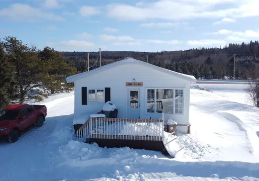 Chalet à vendre - 558 Route Victor-Delamarre, Lac-Bouchette, G0W1V0