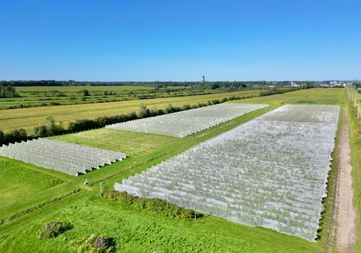 Hobby Farm for sale - 980 Rg Watkins, Drummondville, J2B 6V2