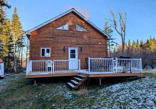 Chalet à vendre - 81Z Ch. du 39, Notre-Dame-Des-Boies, J0B 2E0