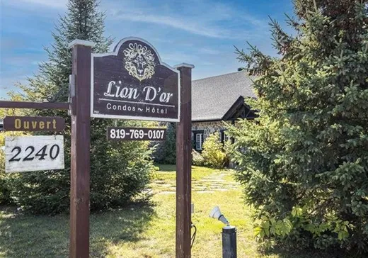 Loft à vendre - 2240 Ch. du Parc, Magog, J1X7A2