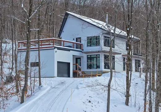 Maison à vendre - 45 Ch. de l'Escalade, Eastman, J0E 1P0