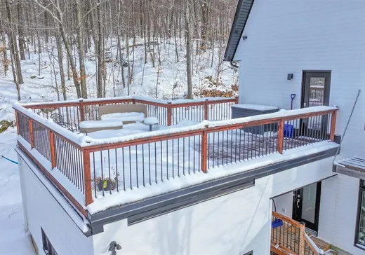 Maison à vendre - 45 Ch. de l'Escalade, Eastman, J0E 1P0