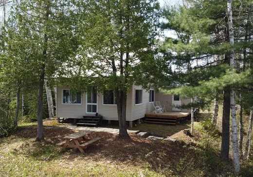Chalet à vendre - 62 Ch. de l'Île-Eaton, Lac-Edouard, G0X3N0