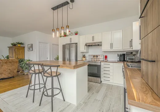 Maison à vendre - 52 10e Rang E., Notre-Dame-Des-Boies, J0B 2E0