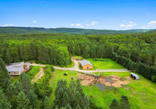 Hobby Farm for sale - 483 Ch. du Progrès, Chute-St-Philippe, J0W1A0