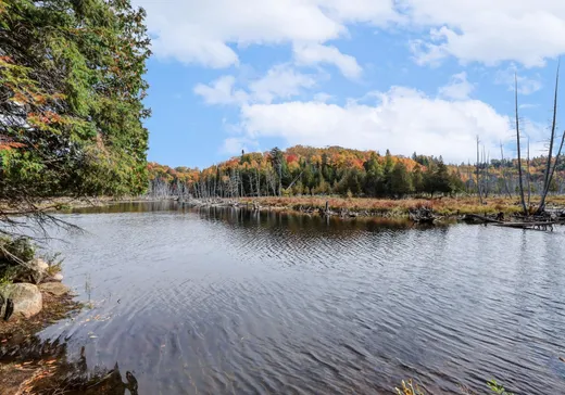 Maison à vendre - 5077 Ch. Lost River, Harrington, J8G 2T1