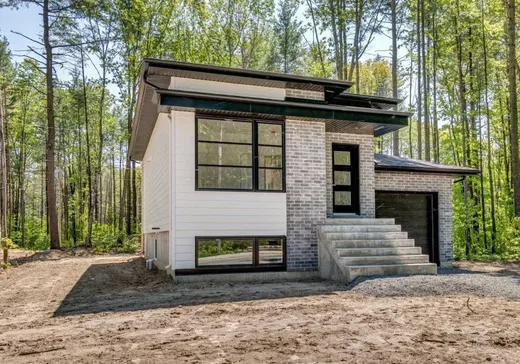 Maison à vendre - 3036 Rue De Salières, Massueville, J3R 0N8