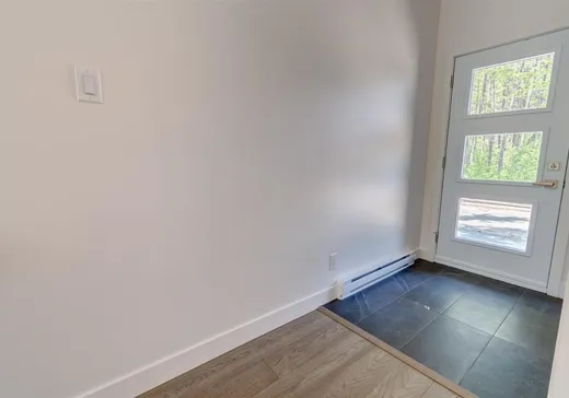 Maison à vendre - 3036 Rue De Salières, Massueville, J3R 0N8