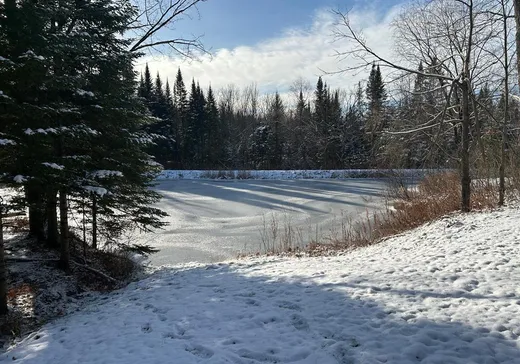 Hobby Farm for sale - 433 Ch. Blais, Pointe-Claire (Montreal Island), J0B 2H0