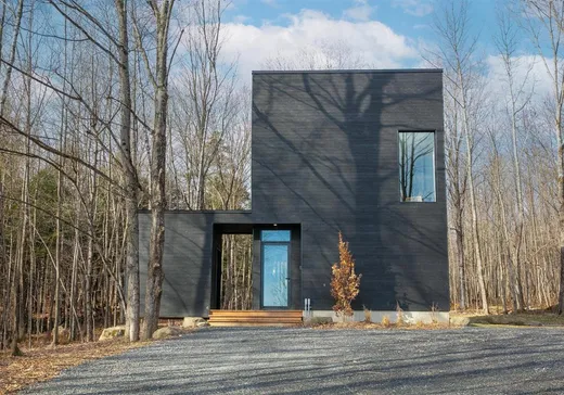 Maison à étages à vendre - 173 Ch. Lafond, Mansonville, J0E1X0